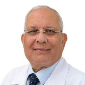 Hussein-Abdeldayem